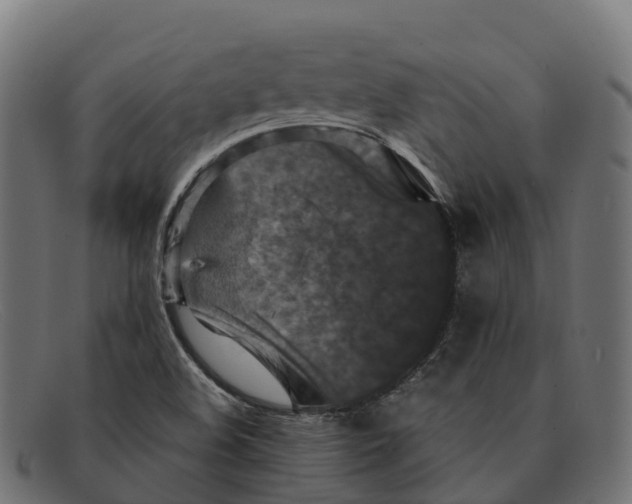 X0000091691508200709131557