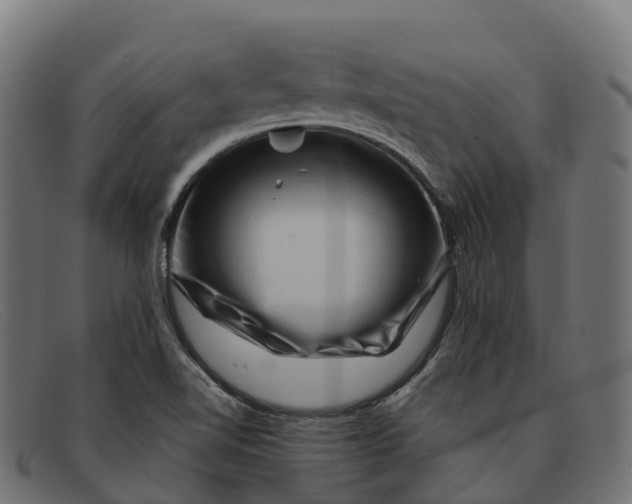 X0000091691510200709131557