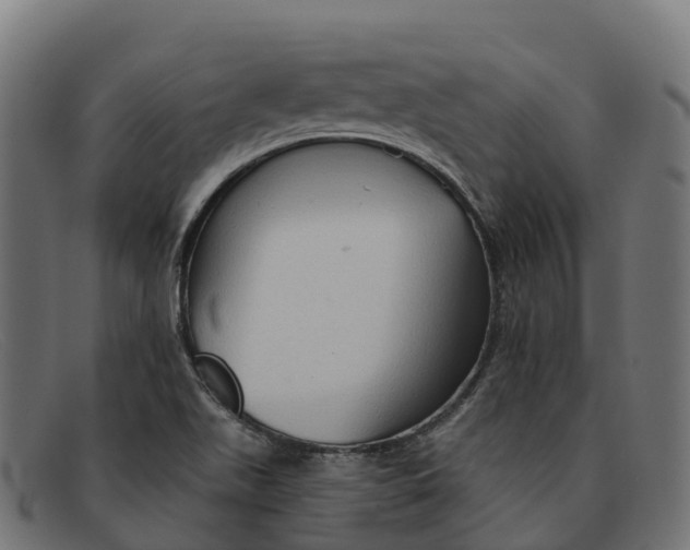 X0000091691511200709131557