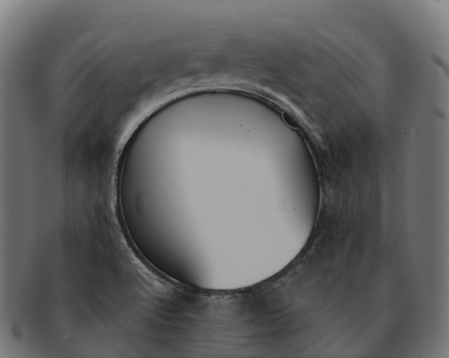 X0000091691512200709131557