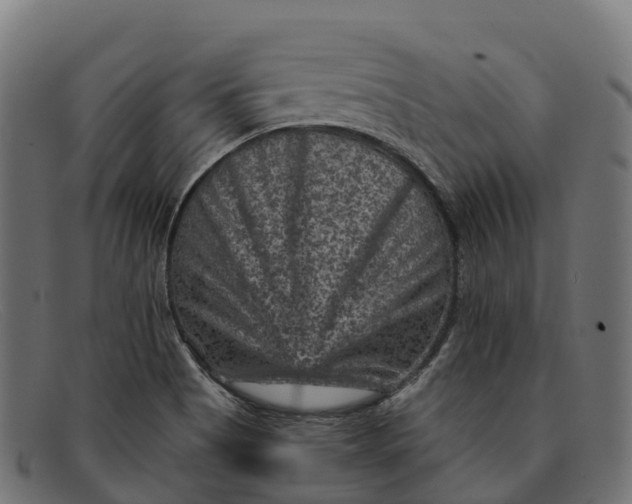 X0000091691513200709131557