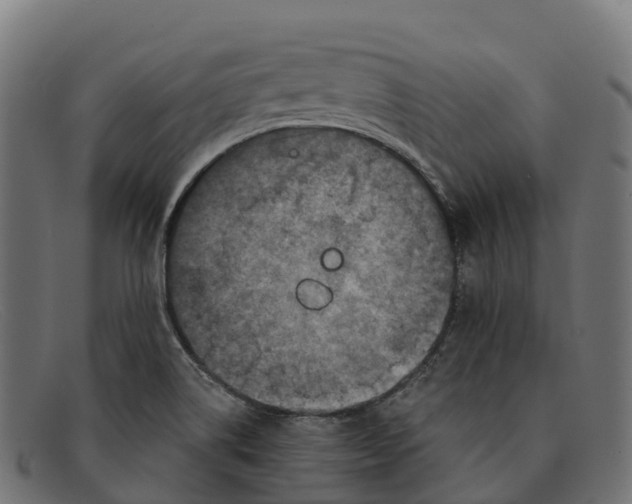 X0000091691514200709131557