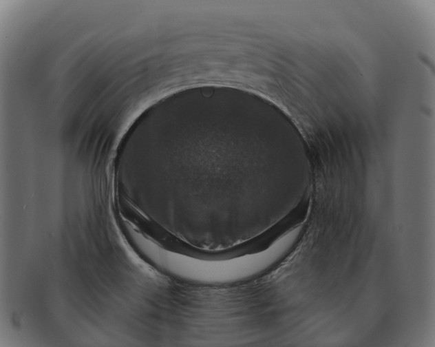 X0000091691515200709131557