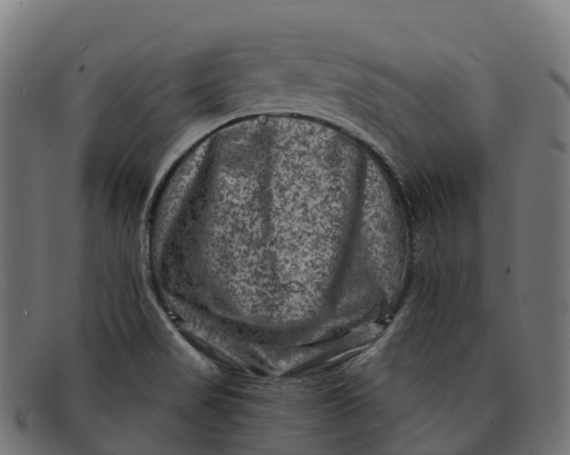 X0000091691517200709131557