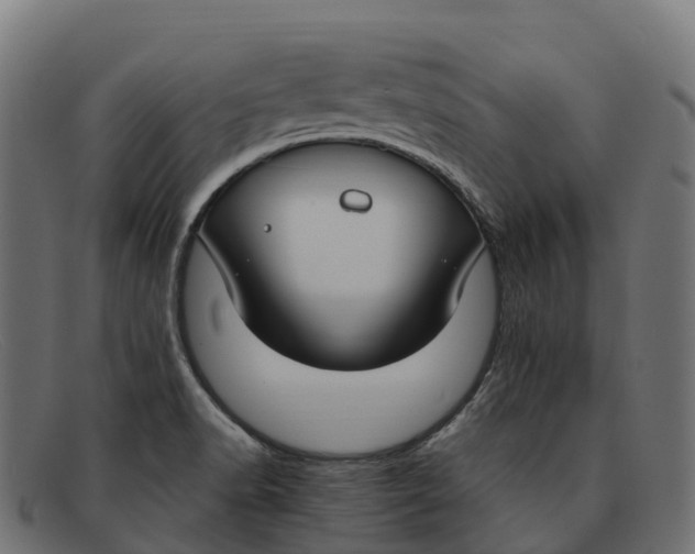 X0000091691518200709131557