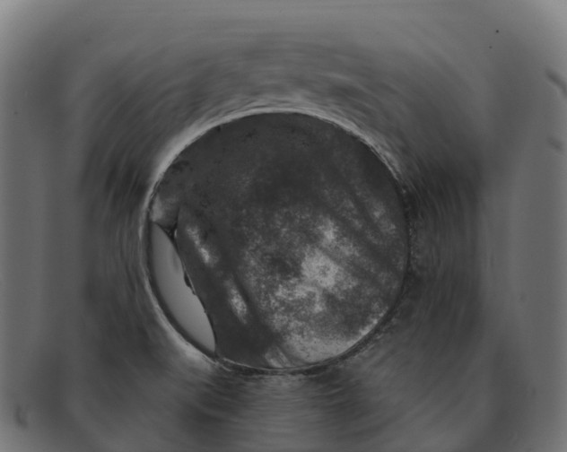 X0000091691519200709131557