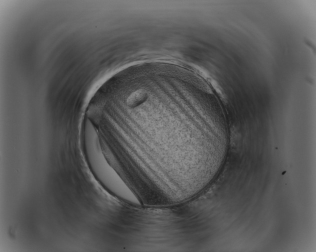 X0000091691520200709131557