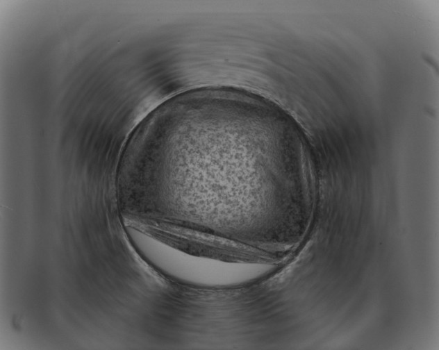 X0000091691521200709131557