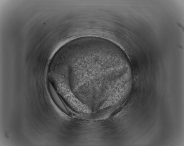 X0000091691523200709131557