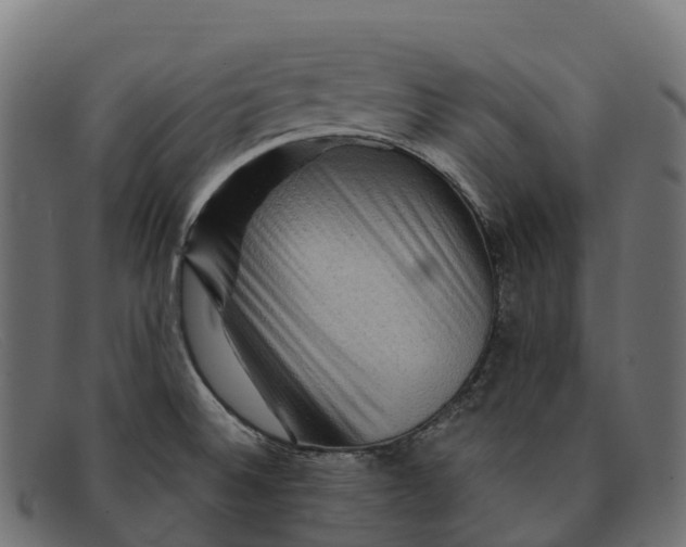 X0000091691524200709131557