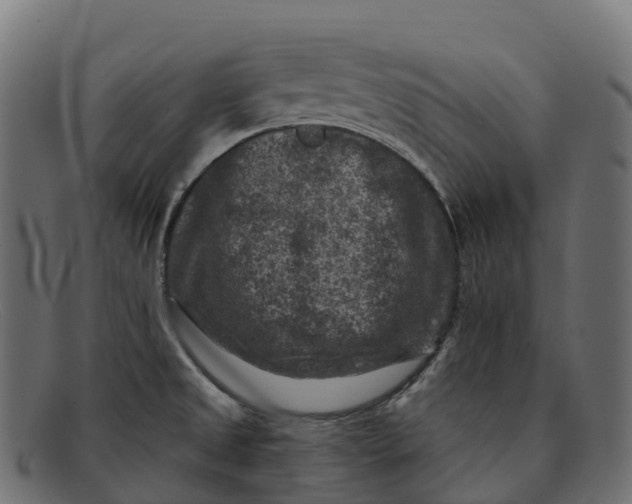 X0000091691525200709131557