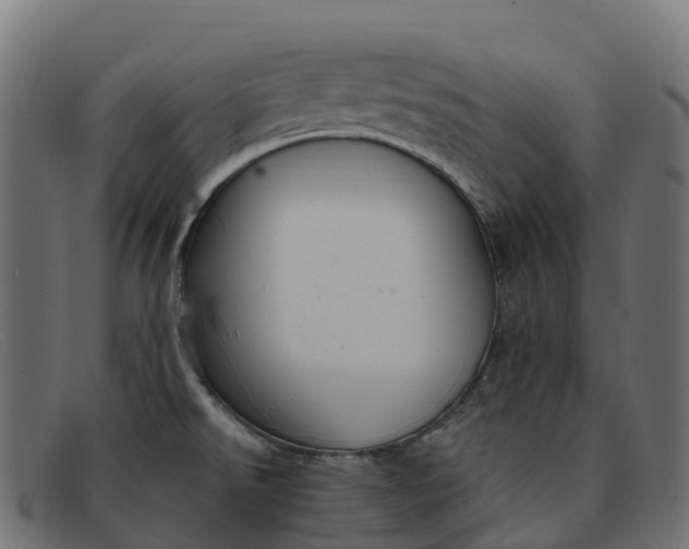 X0000091691526200709131557