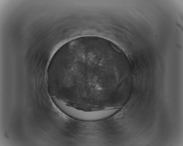 X0000091691527200709131557