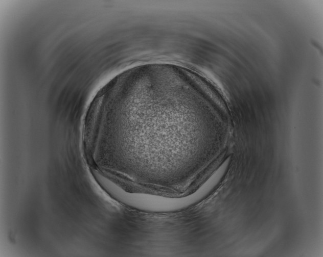 X0000091691528200709131557