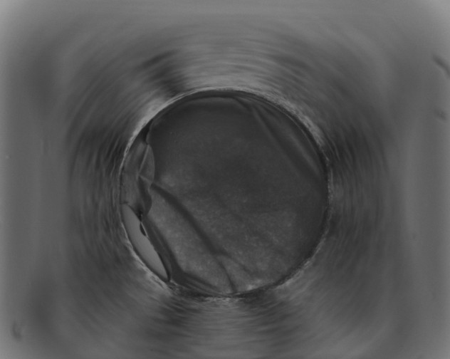 X0000091691529200709131557