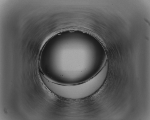 X0000091691530200709131557