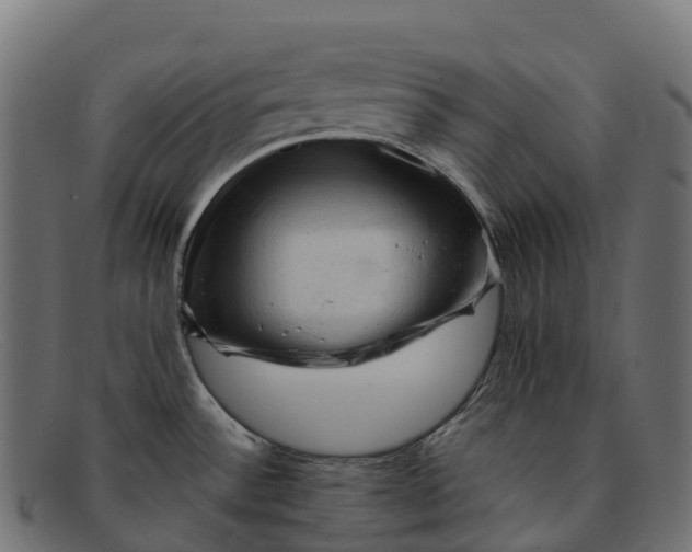 X0000091691532200709131557