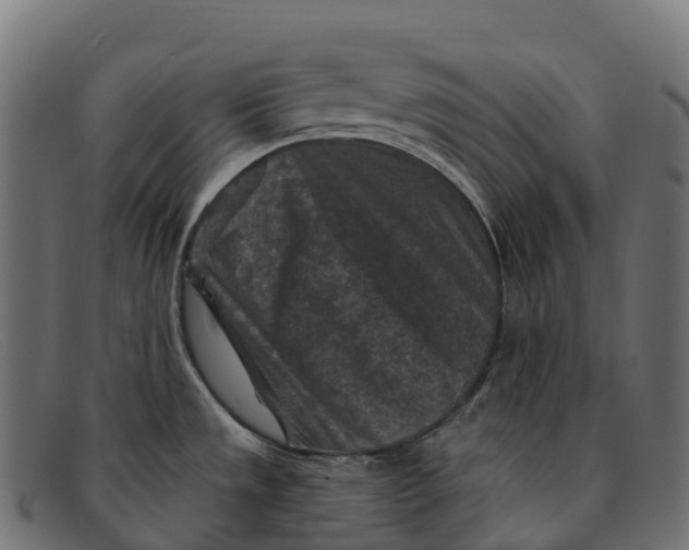 X0000091691533200709131557