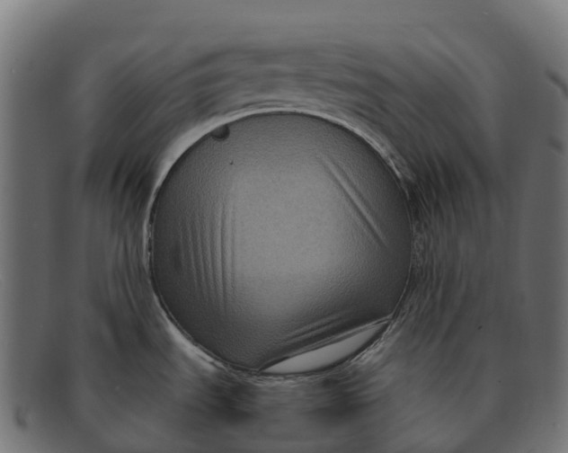 X0000091691535200709131557