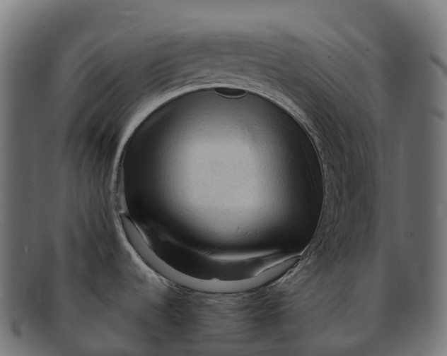 X0000091691536200709131557