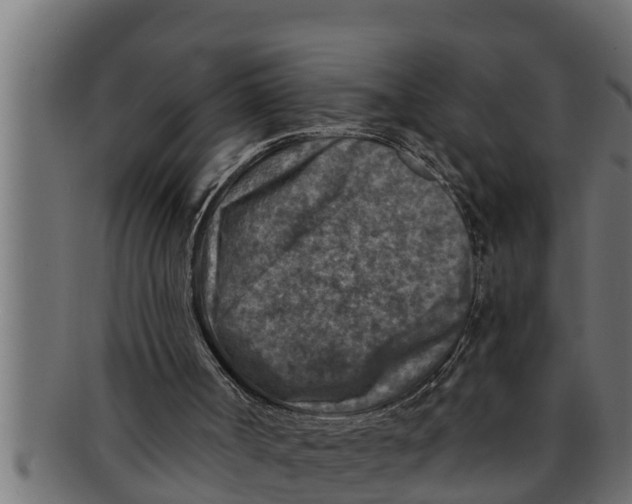 X0000091690002200709201307