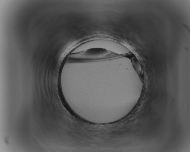 X0000091690007200709201307