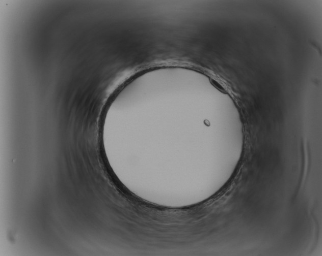 X0000091690008200709201307