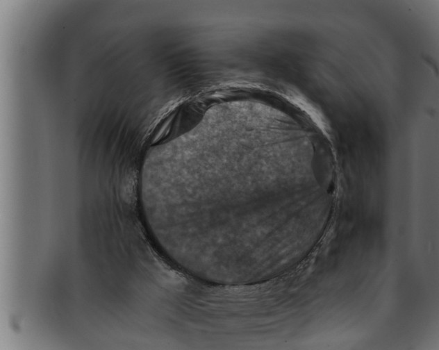 X0000091690009200709201307