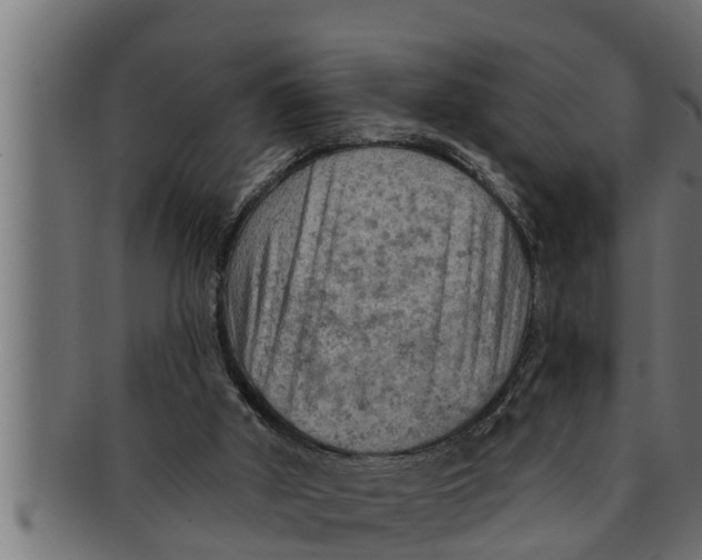 X0000091690010200709201307