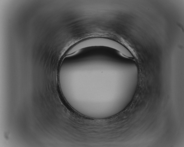 X0000091690011200709201307