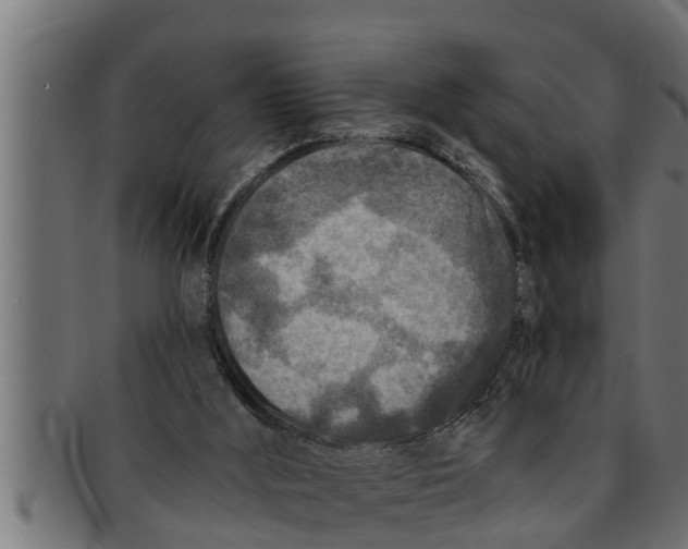 X0000091690012200709201307