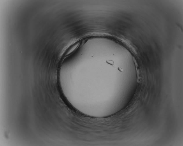 X0000091690015200709201307