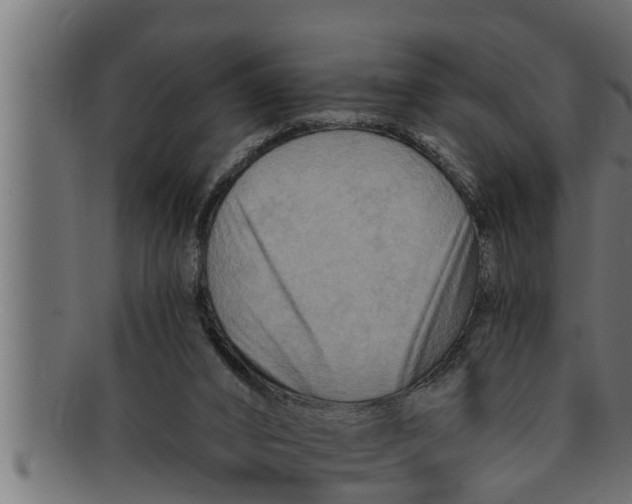 X0000091690016200709201307