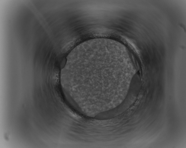 X0000091690017200709201307