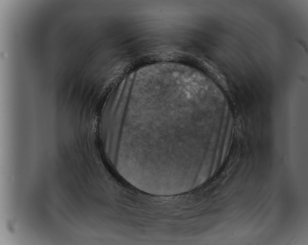 X0000091690018200709201307