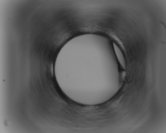 X0000091690020200709201307