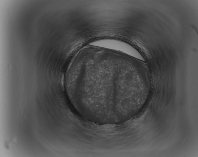 X0000091690024200709201307