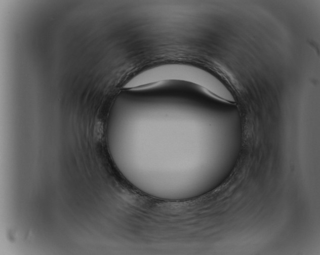 X0000091690025200709201307