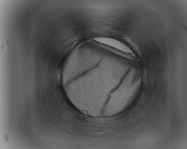 X0000091690026200709201307