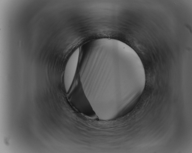 X0000091690027200709201307