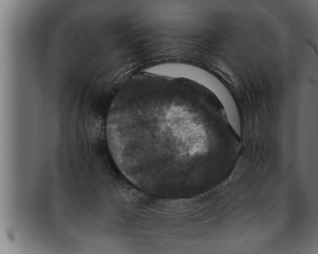 X0000091690029200709201307