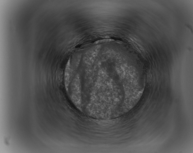 X0000091690030200709201307