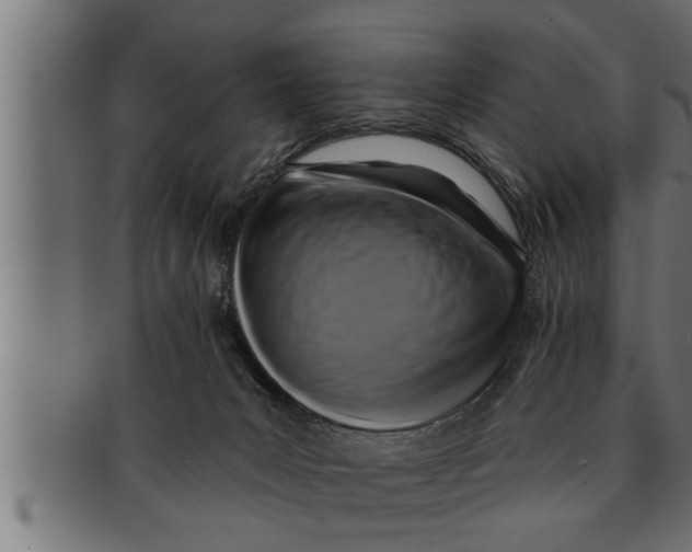 X0000091690031200709201307