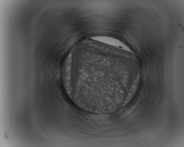 X0000091690032200709201307