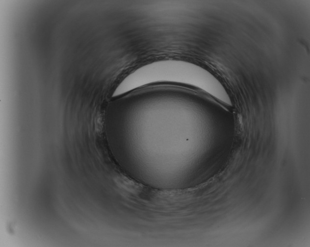 X0000091690037200709201307