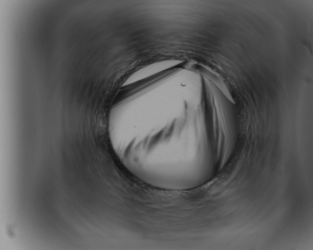 X0000091690040200709201307