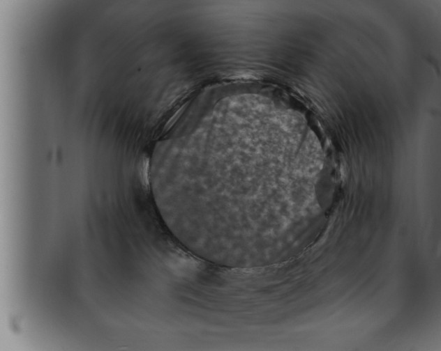 X0000091690041200709201307