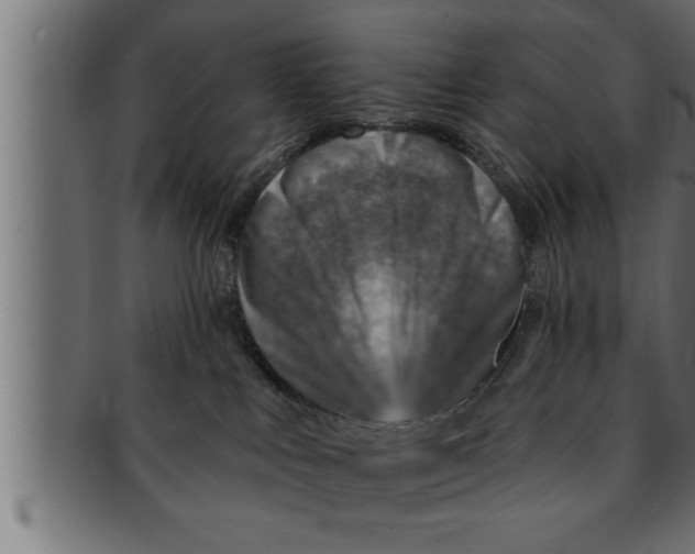 X0000091690043200709201307