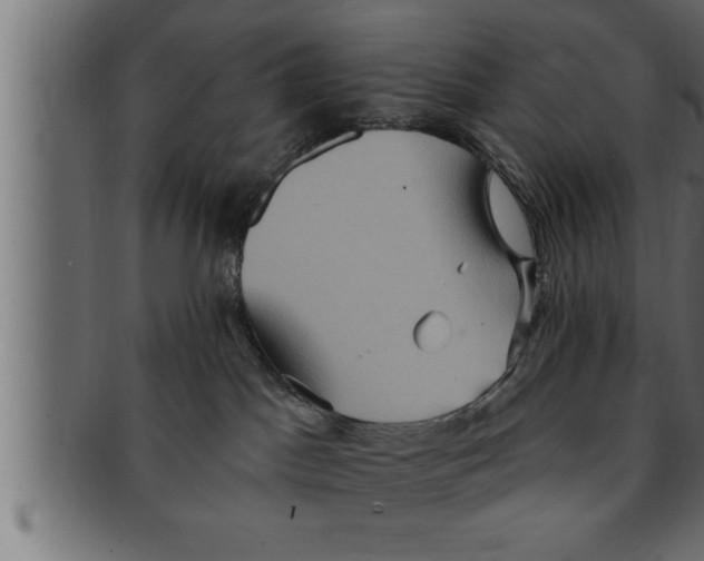 X0000091690045200709201307