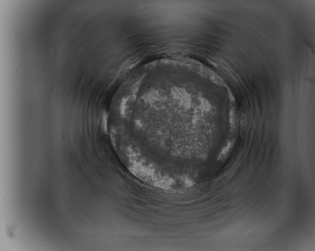 X0000091690046200709201307